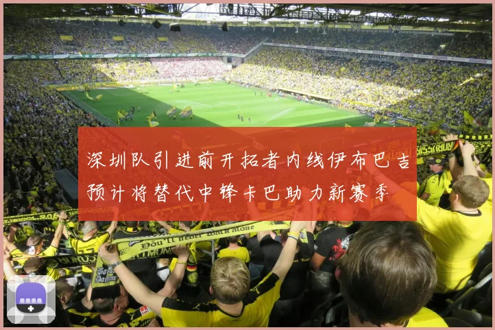 深圳队引进前开拓者内线伊布巴吉预计将替代中锋卡巴助力新赛季