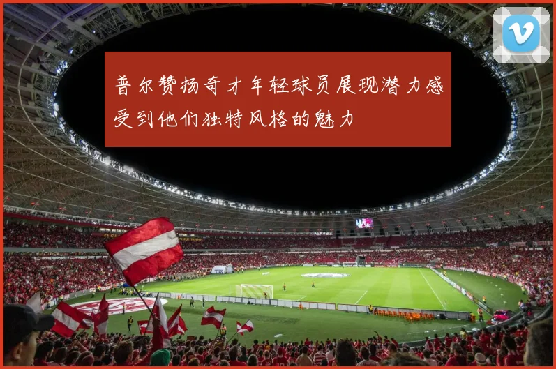 普尔赞扬奇才年轻球员展现潜力感受到他们独特风格的魅力