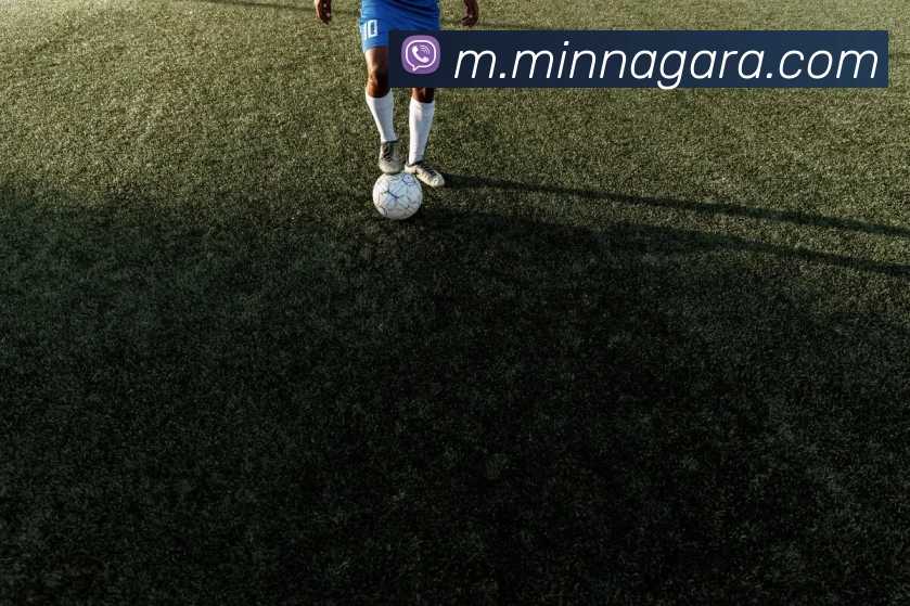 App Interface Preview